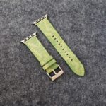 Fashion Gucci Apple Watch Band