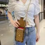 LV Vertical Trunk Pochette