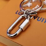 Louis Vuitton Keychain Card Holder