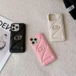 Dior Case