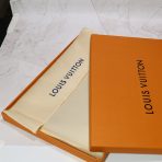 Louis Vuitton Daily pouch