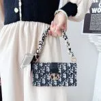 Dior Crossbody Wallet Phone Case