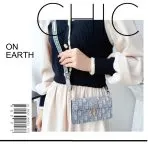 Dior Crossbody Wallet Phone Case