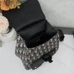 Dior Backpack Saddle
