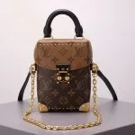 Brown Monogram Camera Box Bag