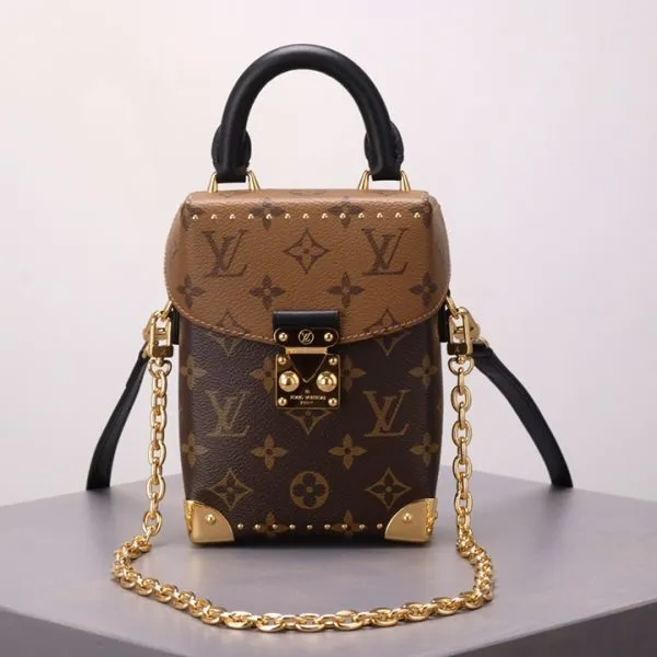 Brown Monogram Camera Box Bag