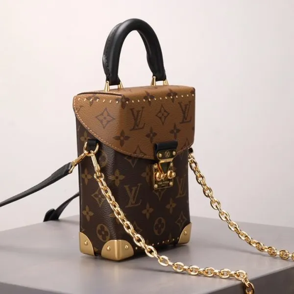 Brown Monogram Camera Box Bag