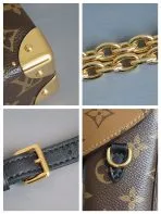 Brown Monogram Camera Box Bag