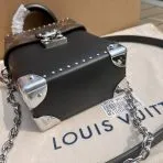 Brown Monogram Camera Box Bag