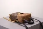 Brown Monogram Camera Box Bag