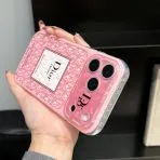 Dior Clear iPhone Case