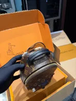 LV Little Chili Monogram Backpack