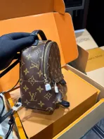 LV Little Chili Monogram Backpack