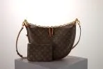 LV Moon Bag