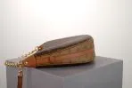 LV Moon Bag
