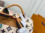LV Multicolor Backpack