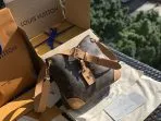 Louis Vuitton Odeon Croissant Bag