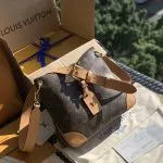 Louis Vuitton Odeon Croissant Bag