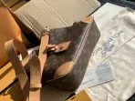 Louis Vuitton Odeon Croissant Bag