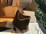Louis Vuitton Odeon Croissant Bag