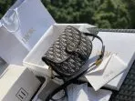 Classic Medium CD Handbag