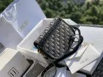 Classic Medium CD Handbag