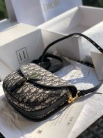 Classic Medium CD Handbag